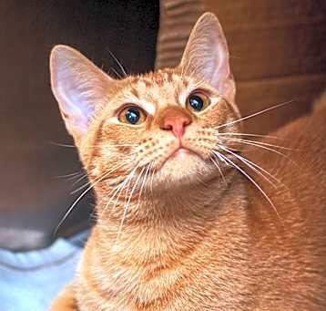 Photo of Franco 