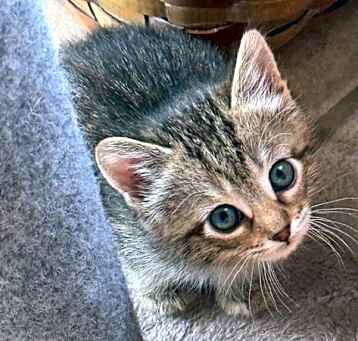 Photo of Unnamed