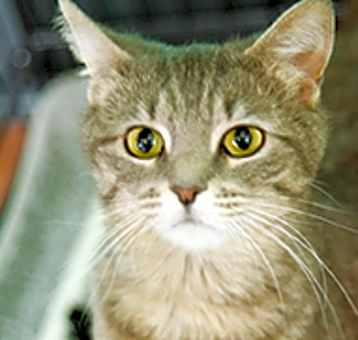 Photo of Zoe