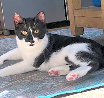 Photo of ECLIPSE