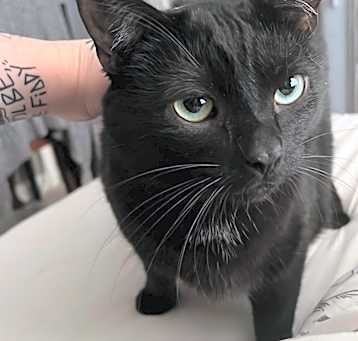Photo of Gigi