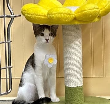 Photo of Wendy