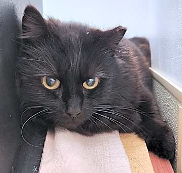 Photo of Sally