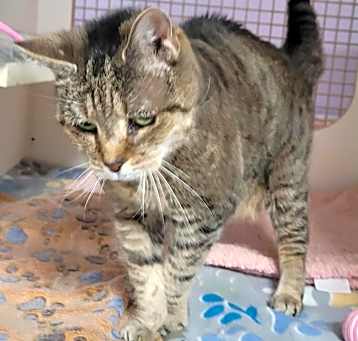 Photo of Cheerio! Affectionate Senior!