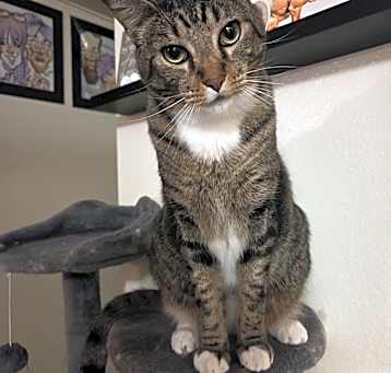 Photo of Stryker