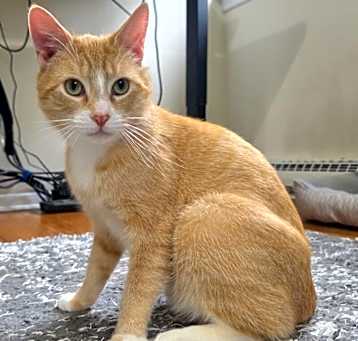 Photo of Mack