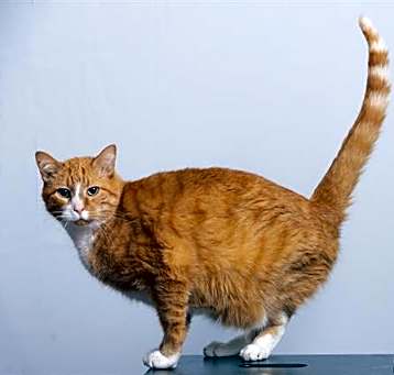 Photo of HEINZ