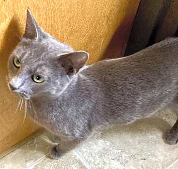 Photo of FIONA