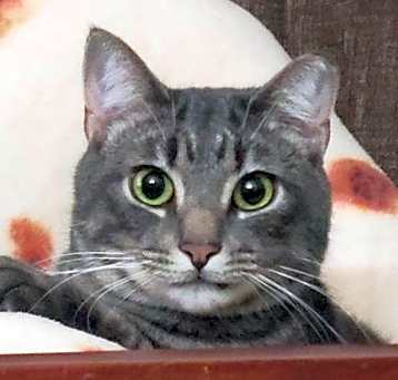 Photo of Loki Walinski