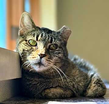 Photo of Gladys