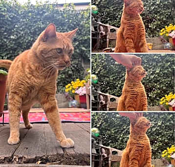 Photo of Monty