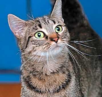 Photo of Princess