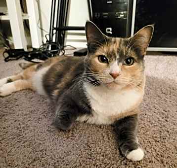Photo of Stasia