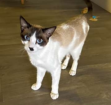 Photo of Lovie