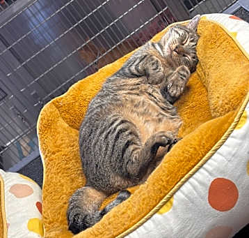 Photo of Elsie