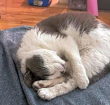 Photo of Libby