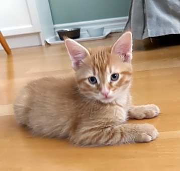 Photo of Bakari