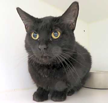 Photo of NYX