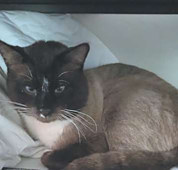 Photo of Zeus
