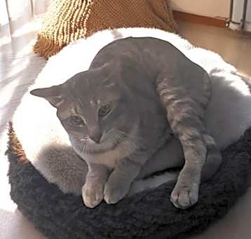 Photo of Reese