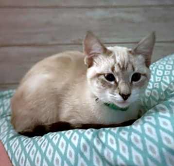Photo of Stella W