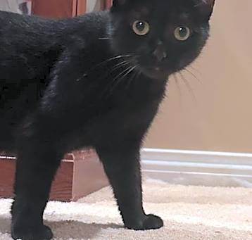 Photo of Merry