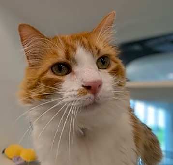 Photo of Charlie