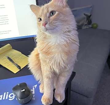 Photo of Maximillion