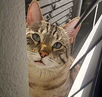Photo of Ares