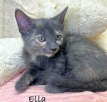 Photo of Ella