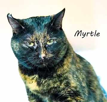 Photo of Myrtle