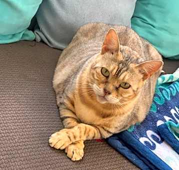 Photo of Lacey Ley - Big Momma