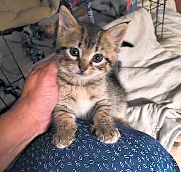 Photo of Sugar Baby