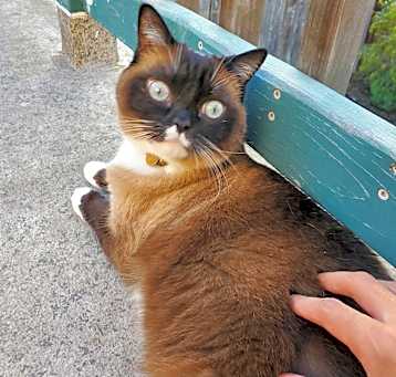 Photo of Cloud