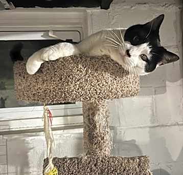 Photo of Quinton