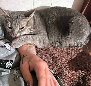 Photo of Lilly