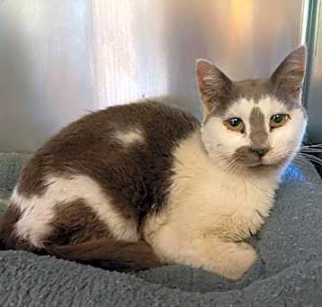 Photo of CLEOPATRA