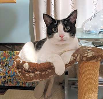 Photo of Mimi