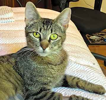 Photo of Candy