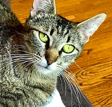 Photo of Candy