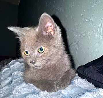 Photo of Zoe