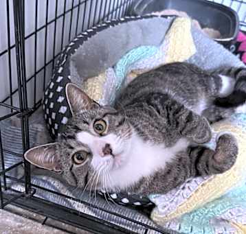 Photo of Lucky