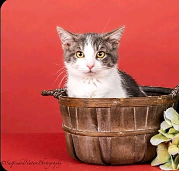Photo of Dottie