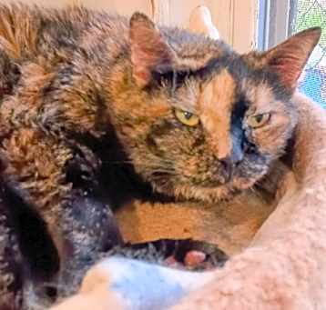 Photo of Baby Girl