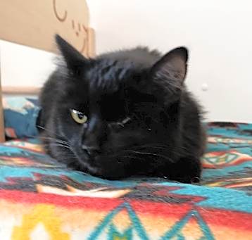 Photo of Lucky