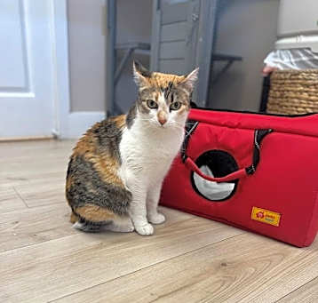 Photo of Ramona