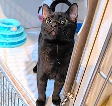 Photo of Storm
