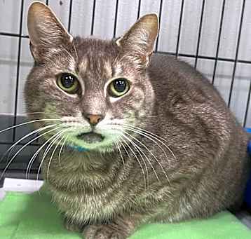 Photo of Otho