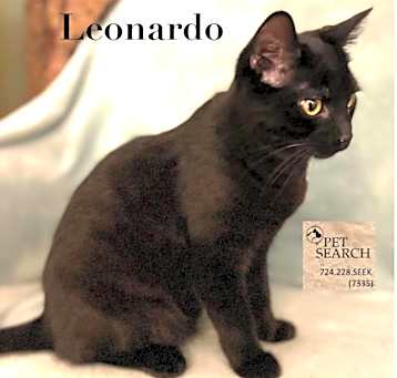 Photo of Leonardo