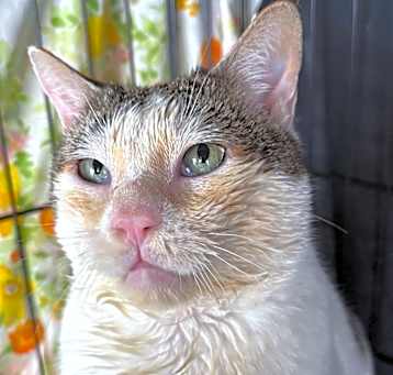 Photo of MUNCY